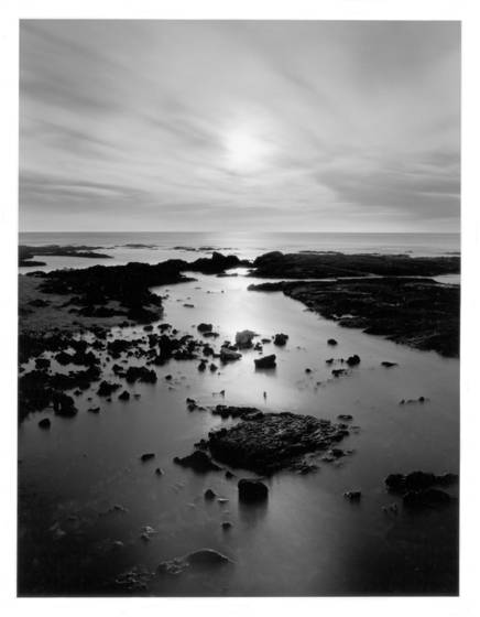 Creation_study__7