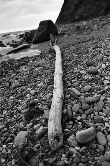 Log