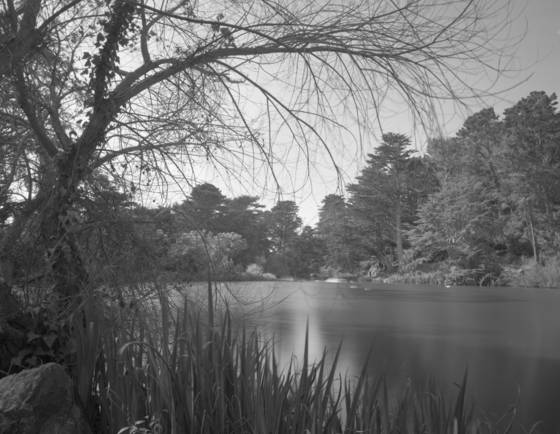 Stow_lake_b