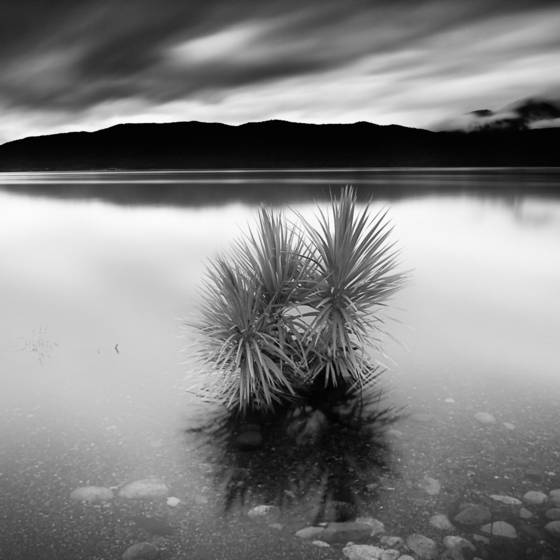 New_zealand_4