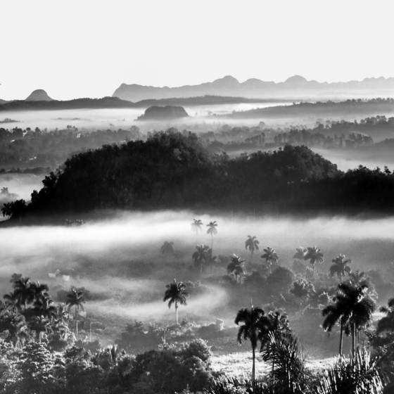 Untitled_3