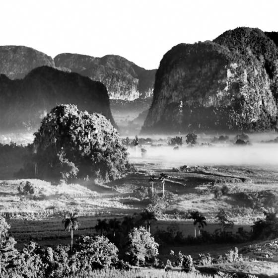 Untitled_4