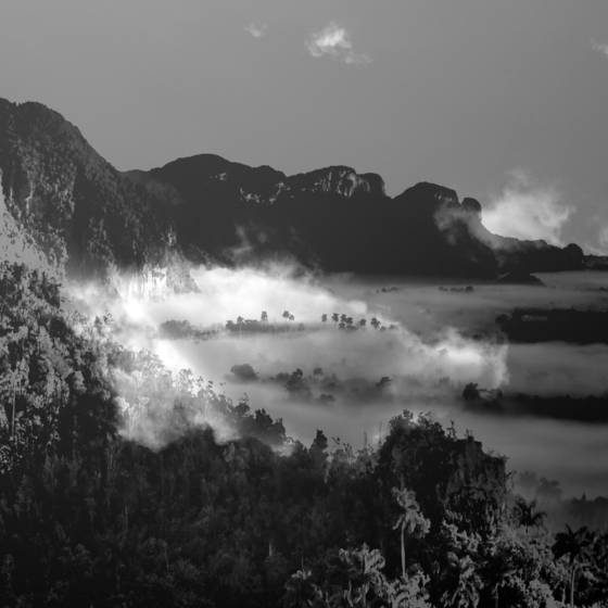 Untitled_7