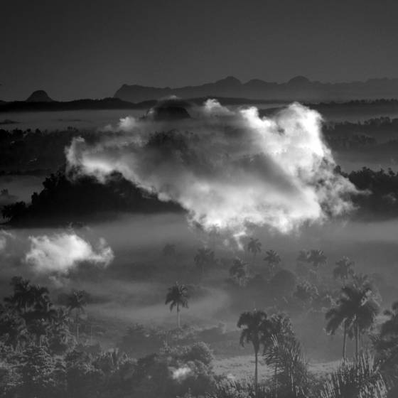 Untitled_8