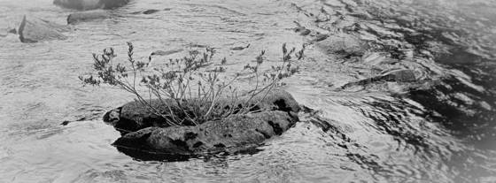 Islet