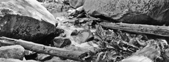 Logs