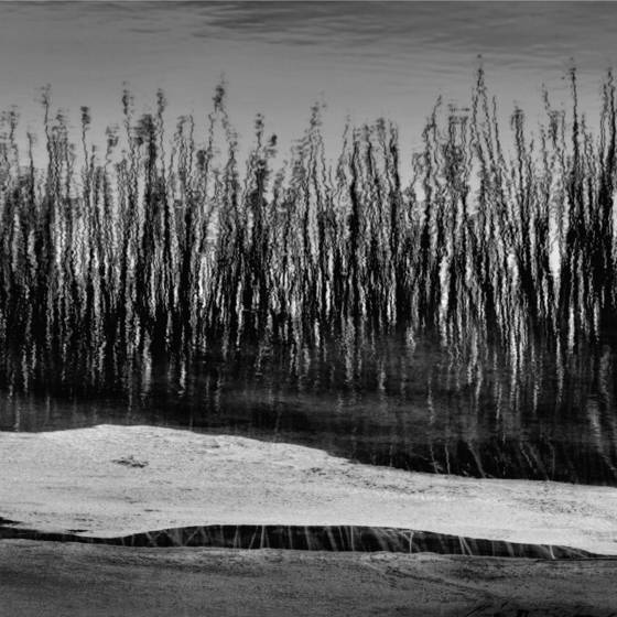Tidal_pool