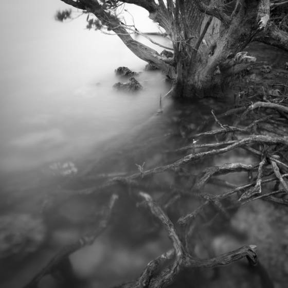 Keys_shoreline_5