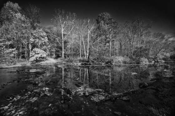 Eno_river_state_park_1