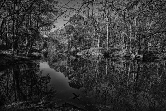 Sarah_p__duke_park