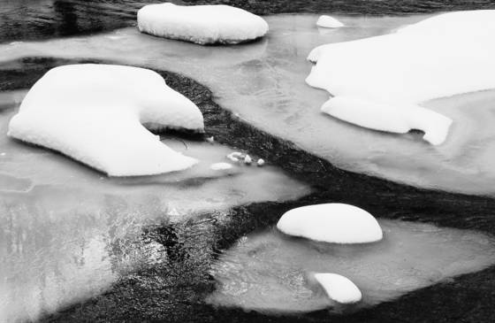 Little_river_preserve_12