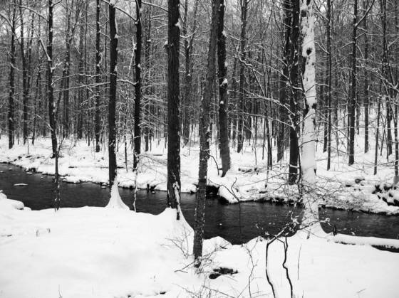 Little_river_preserve_8