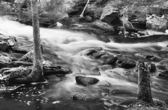 Bostons_water