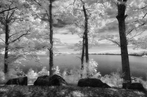 Bostons_water
