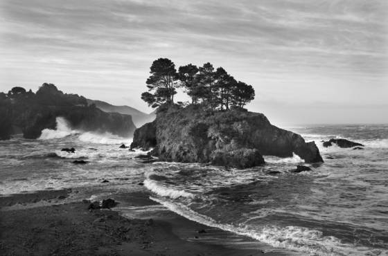 Buckhorn_cove_iv