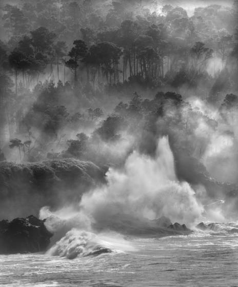 Mouth_of_big_river