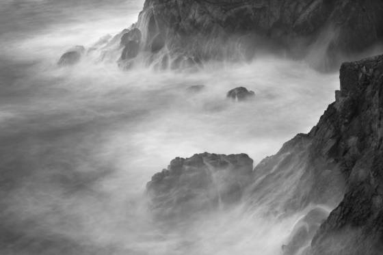 Our_backyard_iii