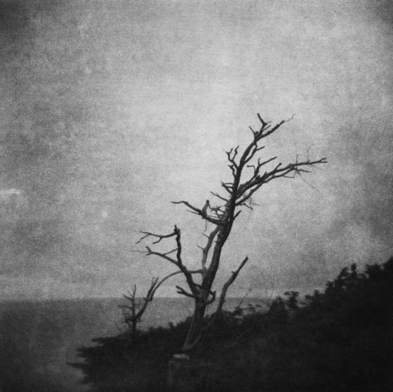 In_the_dark_places_with_the_dead_of_old