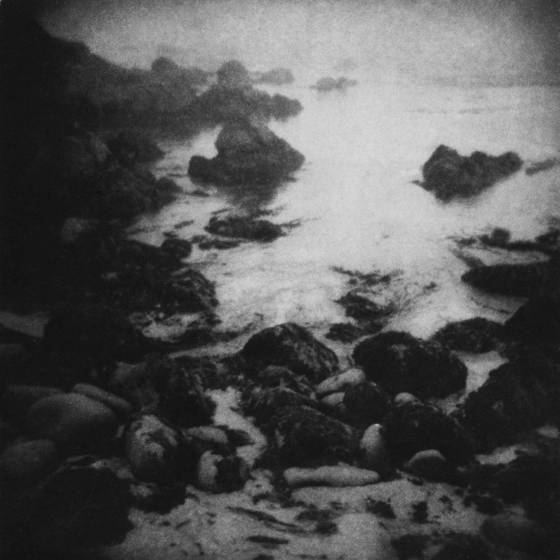 The_life_of_the_awakening_sea
