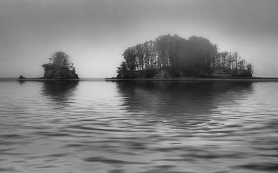 Untitled_9