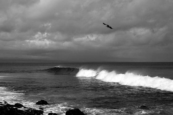 Seascape