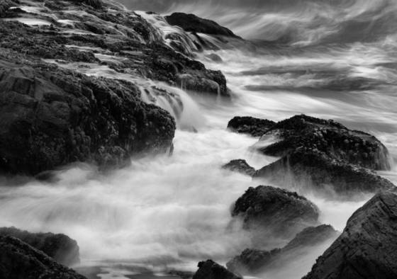 Pescadero_sb_8894