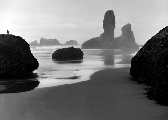 Oregon_coast_2