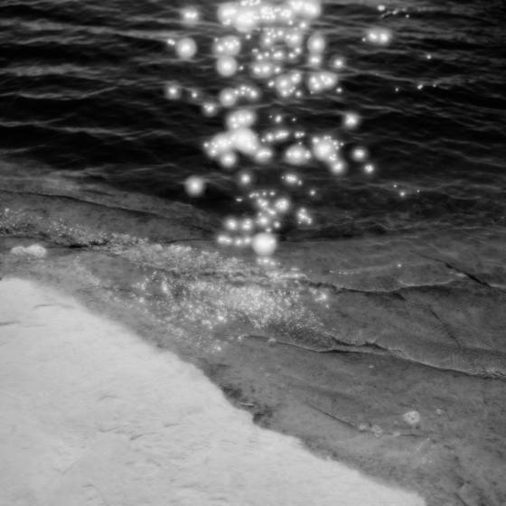 Forest_sun_spots