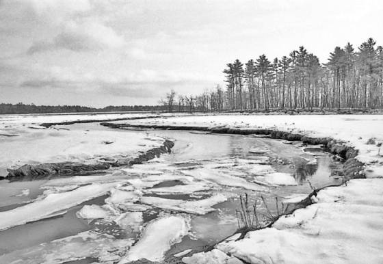 Little_river_1