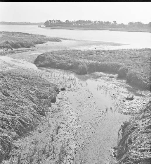 Tidal_wash