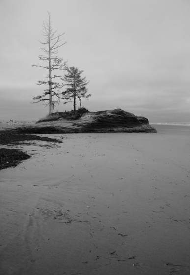Still_standing
