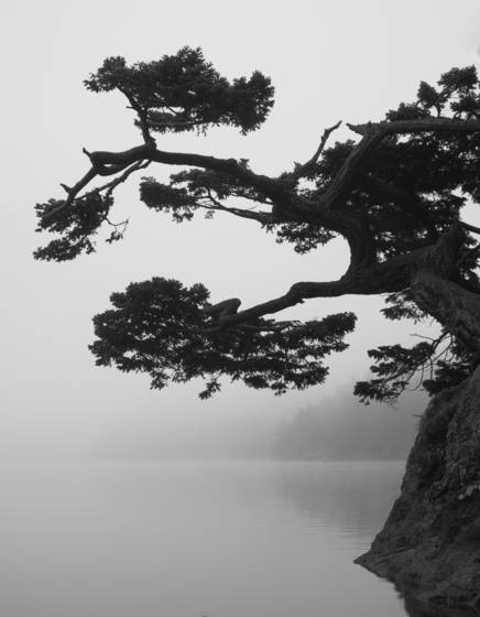 Oriental_1