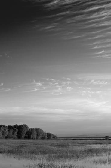 Spring_morning
