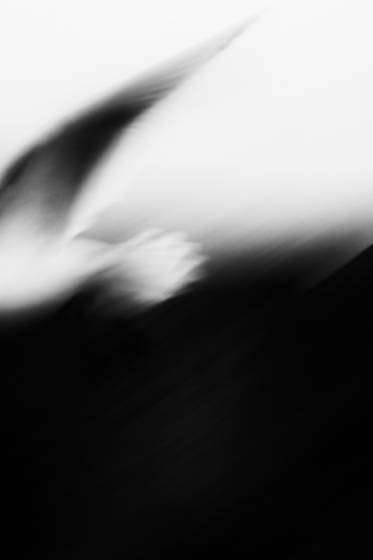 Half_visible