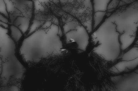 Aerie_before_the_storm