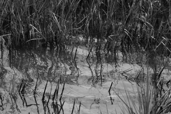 Aransas_channel