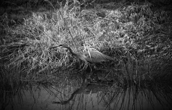 Untitled_2