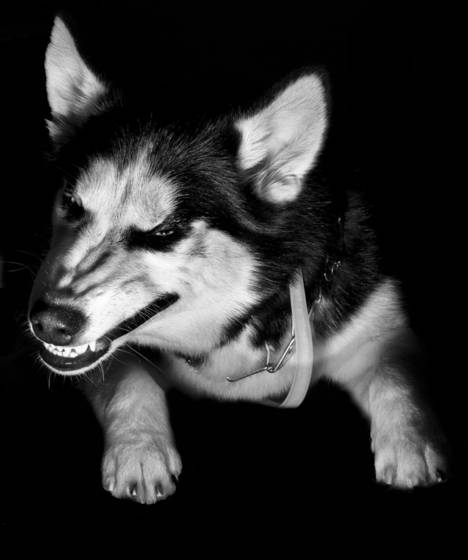 Anger