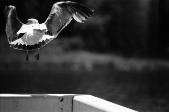 Take-off