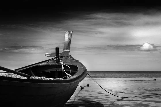 Dreaming