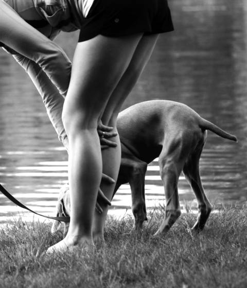 Legs