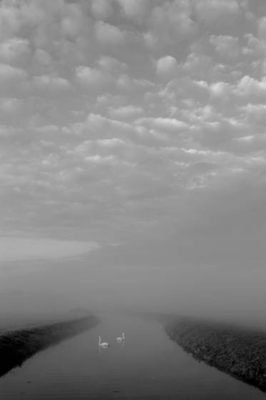Dawn