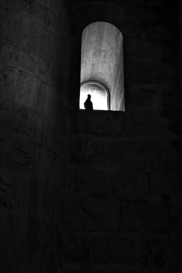 Pigeon_in_the_tower