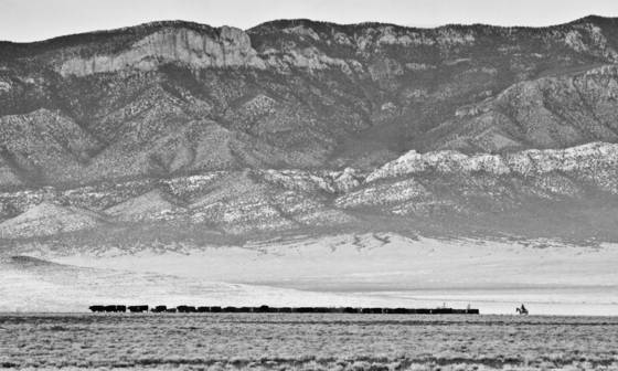 Nevada_cowboys