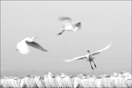 Landing_patterns