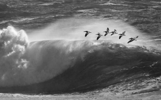 Riding_the_wave