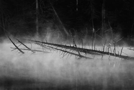 Misty_morning_pond