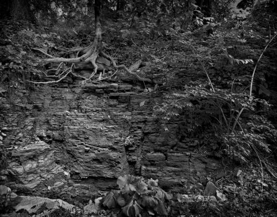 Frick_rock_shrine