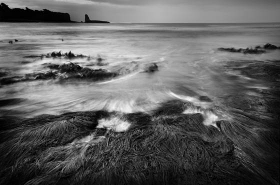 Seascape_1
