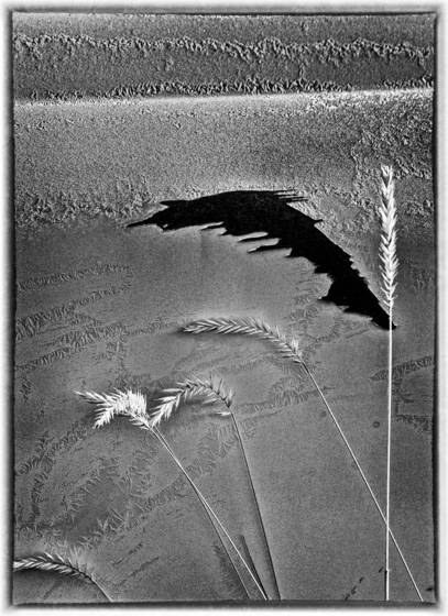 Chevy_door